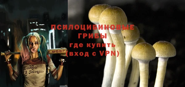 стафф Зерноград
