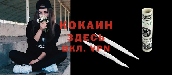 стафф Зерноград