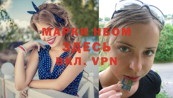 стафф Зерноград